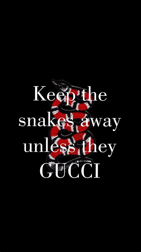 keep the snakes away unless they gucci quote|Dana Frid Instagram Designer Logo T.